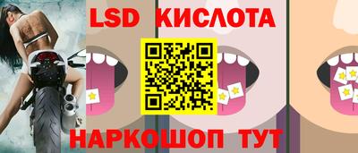 мдпв Гусев