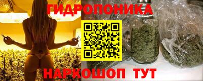 стафф Гусиноозёрск
