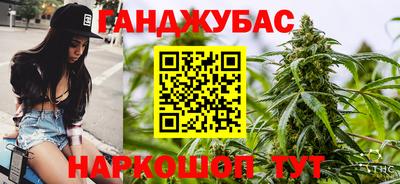 мдпв Гусев