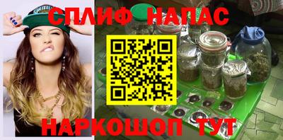 мдпв Гусев